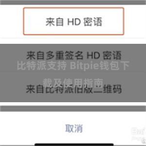 比特派支持 Bitpie钱包下载及使用指南