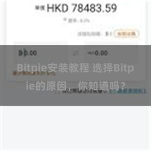 Bitpie安装教程 选择Bitpie的原因，你知道吗？