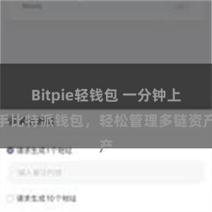 Bitpie轻钱包 一分钟上手比特派钱包，轻松管理多链资产