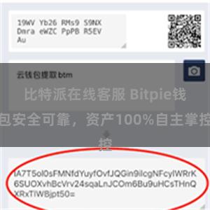 比特派在线客服 Bitpie钱包安全可靠，资产100%自主掌控