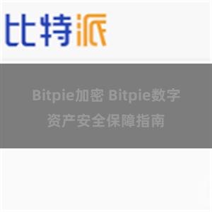 Bitpie加密 Bitpie数字资产安全保障指南