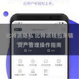 比特派隐私 比特派钱包多链资产管理操作指南