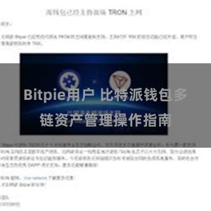 Bitpie用户 比特派钱包多链资产管理操作指南