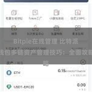 Bitpie在线管理 比特派钱包多链资产管理技巧：全面攻略