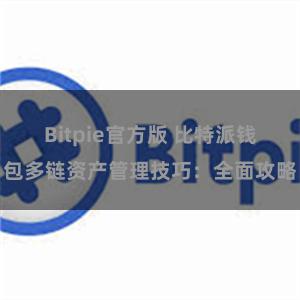 Bitpie官方版 比特派钱包多链资产管理技巧：全面攻略