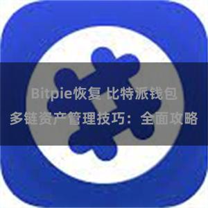 Bitpie恢复 比特派钱包多链资产管理技巧：全面攻略