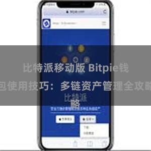 比特派移动版 Bitpie钱包使用技巧：多链资产管理全攻略