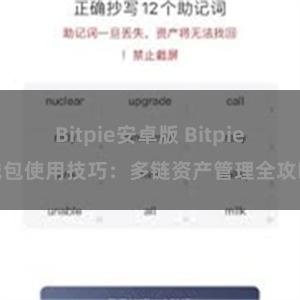 Bitpie安卓版 Bitpie钱包使用技巧：多链资产管理全攻略