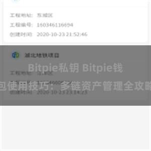 Bitpie私钥 Bitpie钱包使用技巧：多链资产管理全攻略