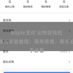 Bitpie支付 比特派钱包下载与安装教程：简单易懂，新手必看