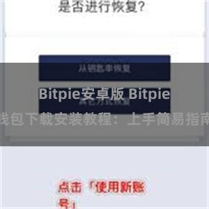 Bitpie安卓版 Bitpie钱包下载安装教程：上手简易指南