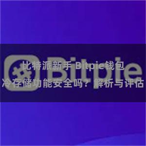 比特派新手 Bitpie钱包冷存储功能安全吗？解析与评估