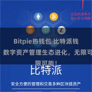 Bitpie热钱包 比特派钱包：数字资产管理生态进化，无限可能！