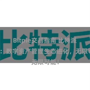 Bitpie交易指南 比特派钱包：数字资产管理生态进化，无限可能！