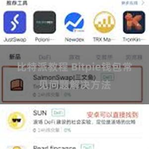 比特派教程 Bitpie钱包常见问题解决方法