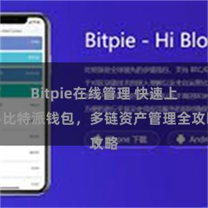 Bitpie在线管理 快速上手比特派钱包，多链资产管理全攻略