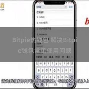 Bitpie热钱包 解决Bitpie钱包常见使用问题