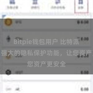 Bitpie钱包用户 比特派钱包：强大的隐私保护功能，让您资产更安全