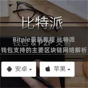 Bitpie最新教程 比特派钱包支持的主要区块链网络解析