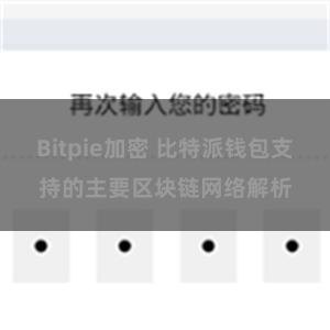 Bitpie加密 比特派钱包支持的主要区块链网络解析