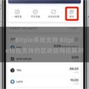 Bitpie系统支持 Bitpie钱包支持的区块链网络解析