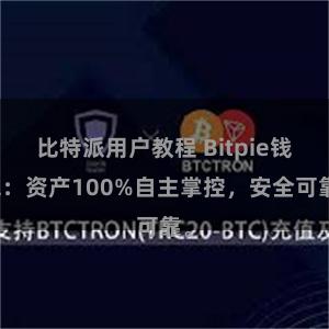 比特派用户教程 Bitpie钱包：资产100%自主掌控，安全可靠。