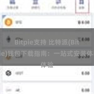 Bitpie支持 比特派(Bitpie)钱包下载指南：一站式安装体验