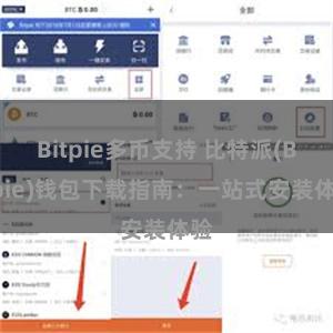 Bitpie多币支持 比特派(Bitpie)钱包下载指南：一站式安装体验