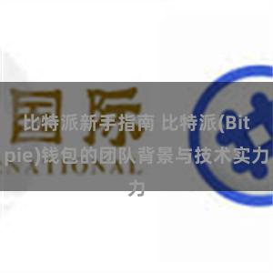 比特派新手指南 比特派(Bitpie)钱包的团队背景与技术实力