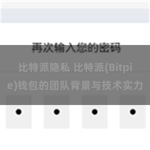 比特派隐私 比特派(Bitpie)钱包的团队背景与技术实力