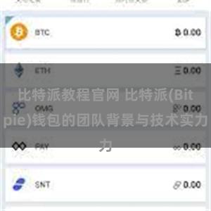 比特派教程官网 比特派(Bitpie)钱包的团队背景与技术实力