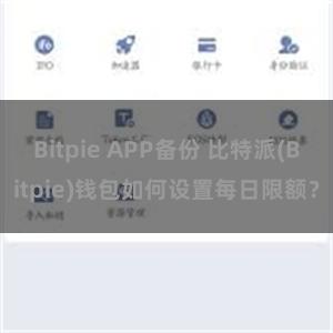 Bitpie APP备份 比特派(Bitpie)钱包如何设置每日限额？