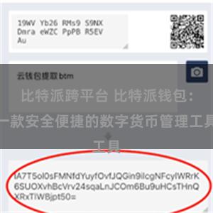 比特派跨平台 比特派钱包：一款安全便捷的数字货币管理工具