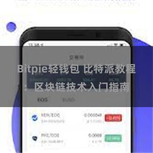 Bitpie轻钱包 比特派教程：区块链技术入门指南