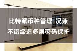 比特派币种管理 况兼不错缔造多层密码保护