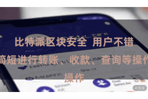 比特派区块安全 用户不错简短进行转账、收款、查询等操作