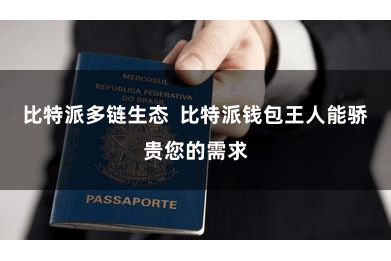 比特派多链生态 比特派钱包王人能骄贵您的需求