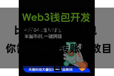 比特派Web3钱包  你需要输入转账的数目